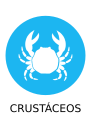Crustaceo